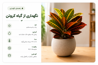 نگهداری از گیاه کروتن